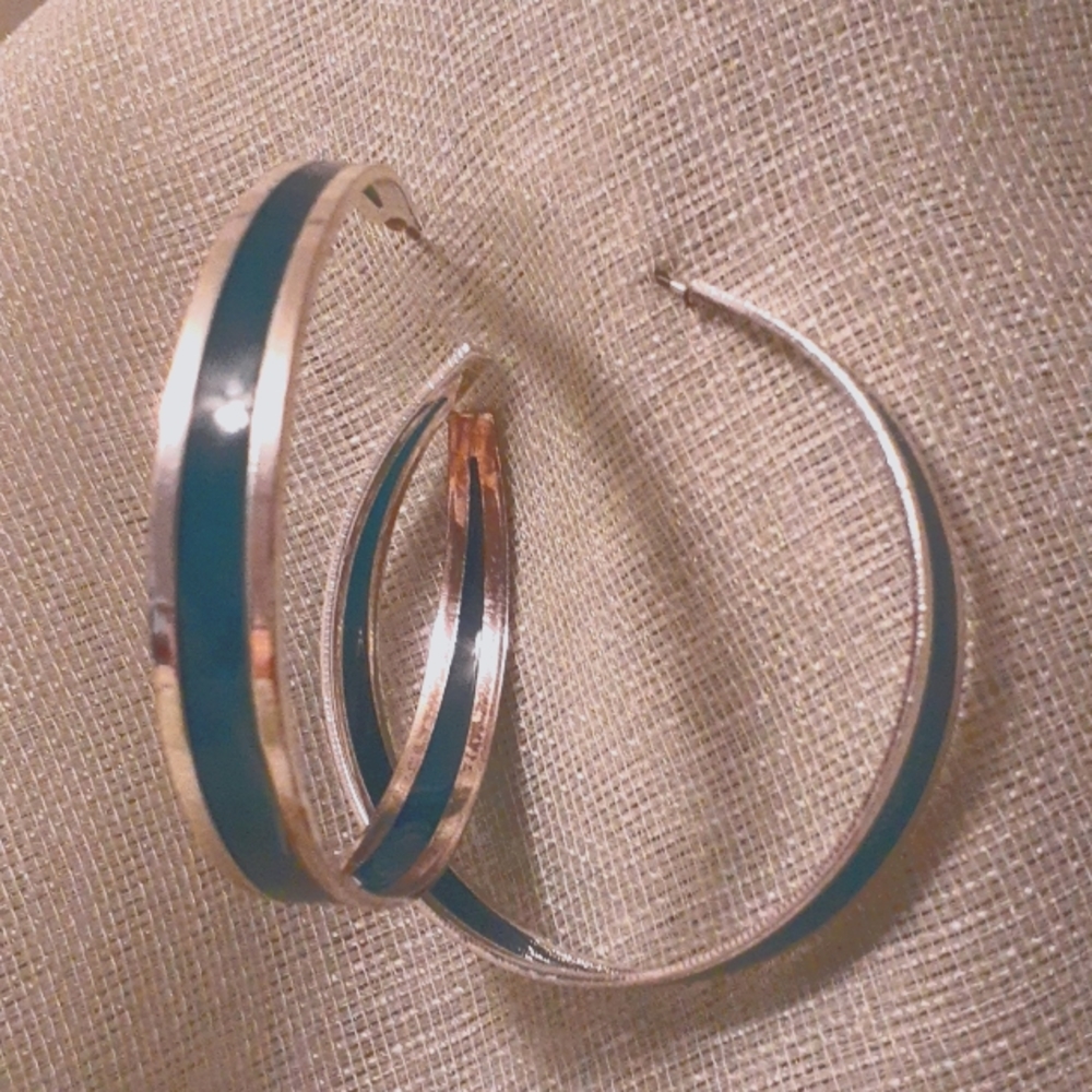 Earrings #287